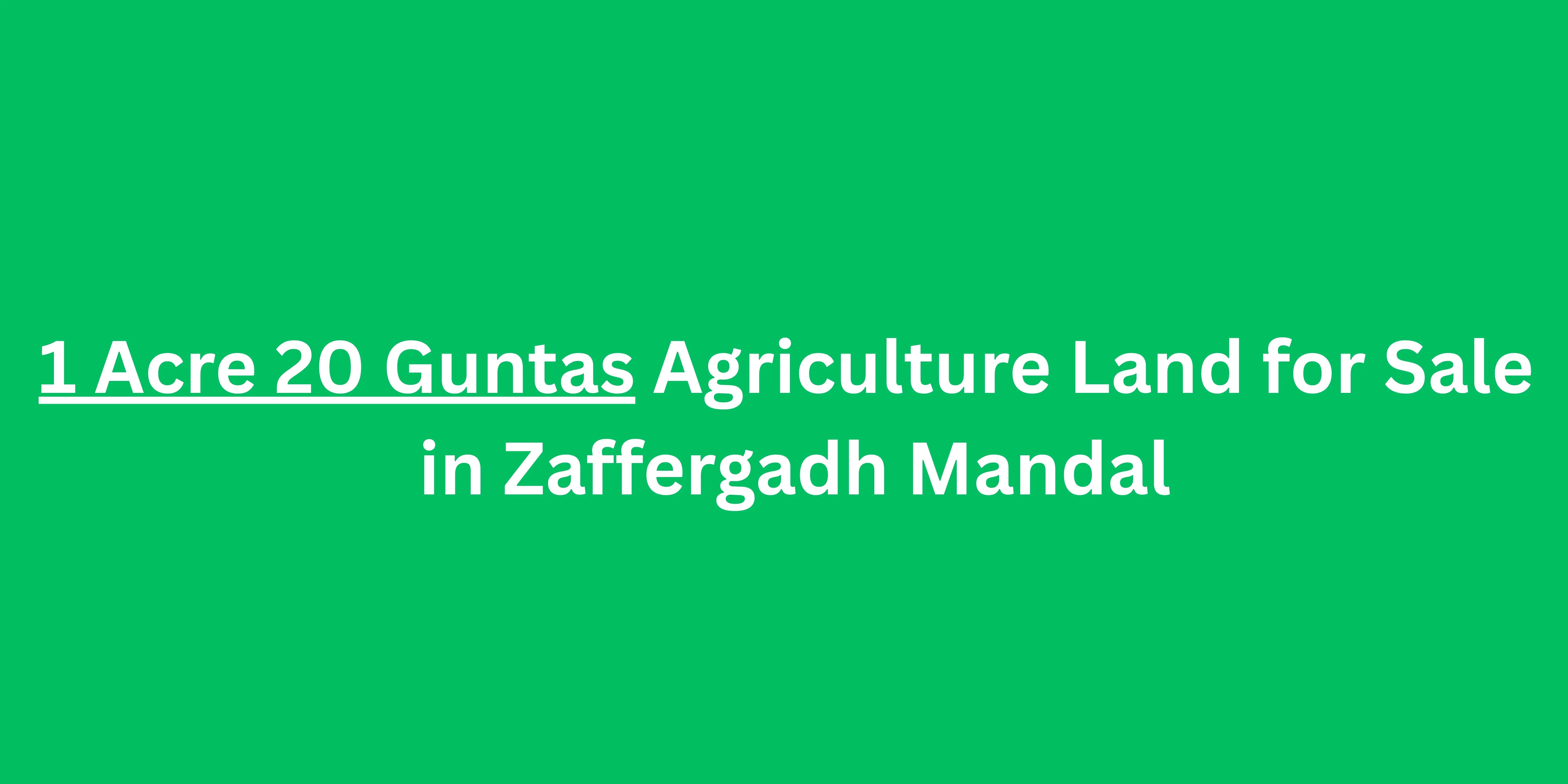 1.5 Acres Agriculture Land for Sale at Jaffergadh Jangaon District
