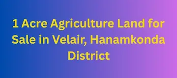 1 Acre Agriculture Land for Sale at Velair Hanamkonda District