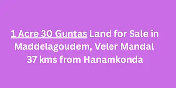 1 Acre 30 Guntas Agriculture Land for Sale at Maddelagudem Veler Mandal
