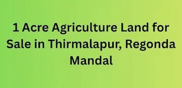 1 Acre Agriculture Land for Sale at Thirmalapur Regonda Mandal Parkal Highway